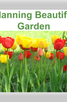 Planning Beautiful Garden