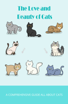 The Love and Beauty of Cats