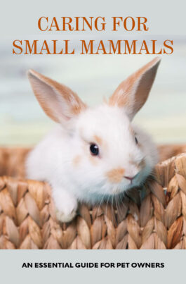 Caring for Small Mammals