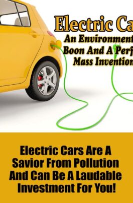 Electric Car Craze